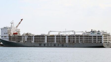 Brezilya’dan Türkiye’ye gelmek için yola çıktılar: Tam 520 bin tane